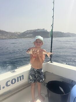 Barracuda, röd snapper, röntgenfisk……. White Marlin Gran Canaria