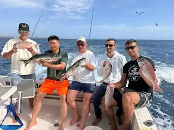 Red Snappers,Barracudas,king Fish,Atlantic Tuna … White Marlin Gran Canaria