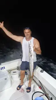 Red Snappers,Barracudas,king Fish,Atlantic Tuna … White Marlin Gran Canaria