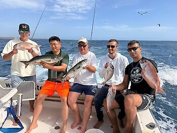 Red Snappers,Barracudas,king Fish,Atlantic Tuna … White Marlin Gran Canaria