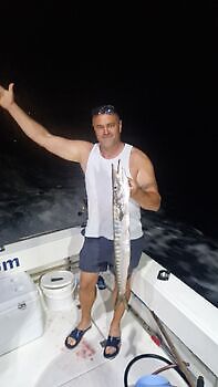 Red Snappers,Barracudas,king Fish,Atlantic Tuna … White Marlin Gran Canaria