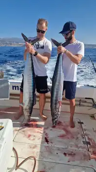 Juhu 2/4!! White Marlin Gran Canaria