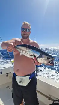 Wahoo, rode snappers, amberjacks, barracuda's, koningsvissen... White Marlin Gran Canaria