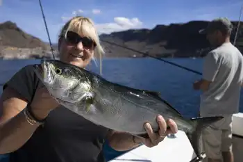 Wahoo, rode snappers, amberjacks, barracuda's, koningsvissen... White Marlin Gran Canaria