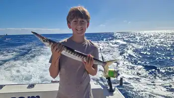 Wahoo, rode snappers, amberjacks, barracuda's, koningsvissen... White Marlin Gran Canaria
