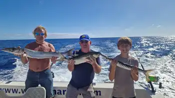 Wahoo, rode snappers, amberjacks, barracuda's, koningsvissen... White Marlin Gran Canaria