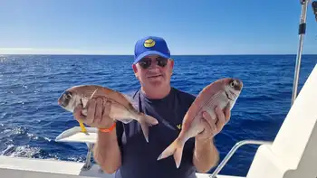 Wahoo, rode snappers, amberjacks, barracuda's, koningsvissen... White Marlin Gran Canaria