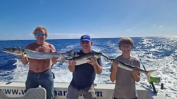 Wahoo, röda snappers, röntgenfiskar, barracudor, kungsfiskar…. White Marlin Gran Canaria
