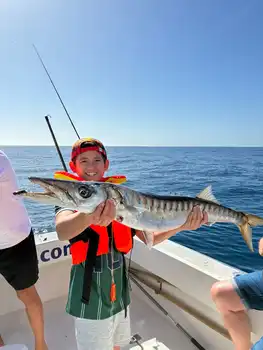 Barrakudas, Rote Schnapper, Atlantischer Thunfisch … White Marlin Gran Canaria
