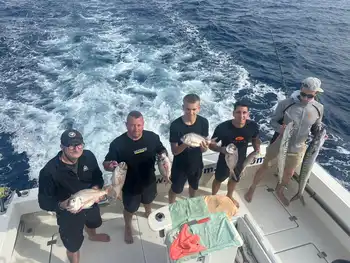 Barrakudas, Rote Schnapper, Atlantischer Thunfisch … White Marlin Gran Canaria