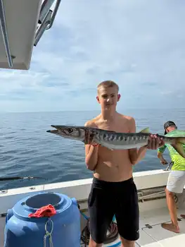 Barrakudas, Rote Schnapper, Atlantischer Thunfisch … White Marlin Gran Canaria