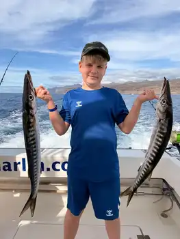 Barrakudas, Rote Schnapper, Atlantischer Thunfisch … White Marlin Gran Canaria