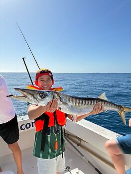 Barracudas,Red Snappers,Atlantic Tuna White Marlin Gran Canaria