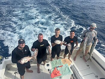 Barracudas,Red Snappers,Atlantic Tuna White Marlin Gran Canaria