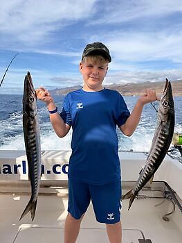 Barracudas,Red Snappers,Atlantic Tuna White Marlin Gran Canaria