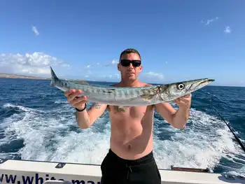 Barracudas,Atlantic Tuna!!! - White Marlin Gran Canaria