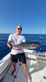 Barracudas,Atlantic Tuna!!! White Marlin Gran Canaria