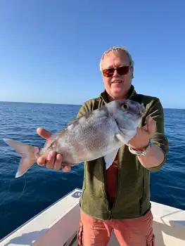 Geelstaartmakrelen, rode snappers…!!! White Marlin Gran Canaria