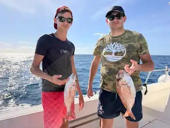 Geelstaartmakrelen, rode snappers…!!! White Marlin Gran Canaria