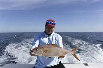 Geelstaartmakrelen, rode snappers…!!! White Marlin Gran Canaria