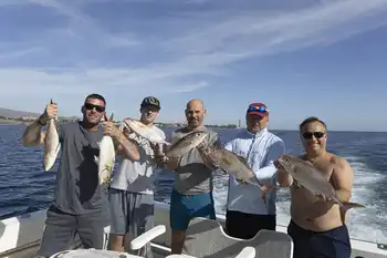 Geelstaartmakrelen, rode snappers…!!! White Marlin Gran Canaria