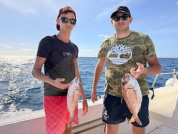 Amberjacks,Red Snappers…!!! White Marlin Gran Canaria