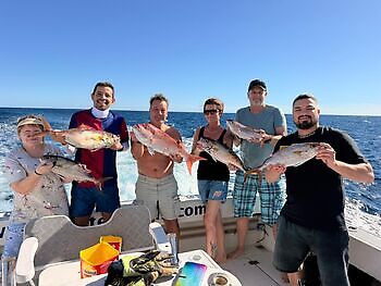 Amberjacks,Red Snappers…!!! White Marlin Gran Canaria