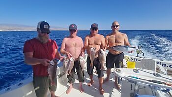 Amberjacks,Red Snappers…!!! White Marlin Gran Canaria