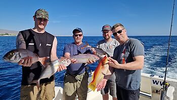 Amberjacks,Red Snappers…!!! White Marlin Gran Canaria
