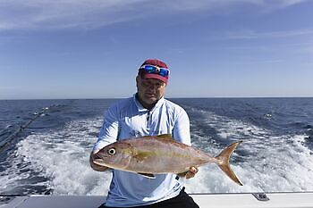 Amberjacks,Red Snappers…!!! White Marlin Gran Canaria