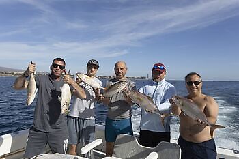 Amberjacks,Red Snappers…!!! White Marlin Gran Canaria