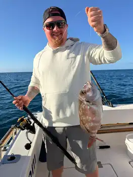 ¡¡¡Feliz navidad!!! White Marlin Gran Canaria