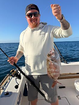 Merry Christmas!!! White Marlin Gran Canaria