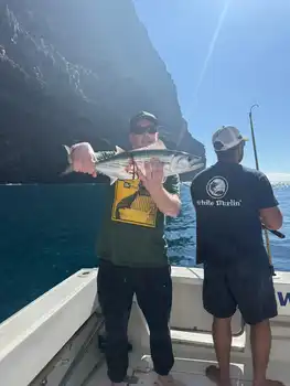 Amberjack,Wahoo,Barracudas ,Red Snappers…… White Marlin Gran Canaria