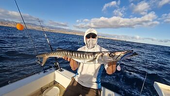 Barracudaer, atlantisk tunfisk…. White Marlin Gran Canaria