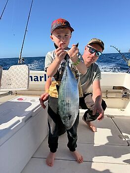Barracudaer, atlantisk tunfisk…. White Marlin Gran Canaria