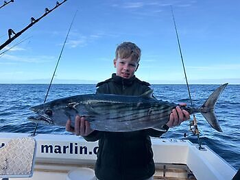 Barracudaer, atlantisk tunfisk…. White Marlin Gran Canaria