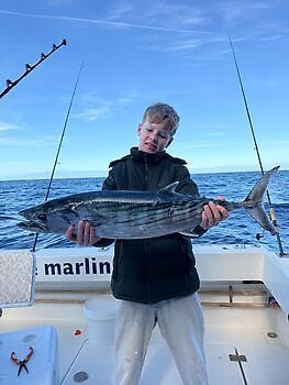 Barracudaer, atlantisk tunfisk…. White Marlin Gran Canaria