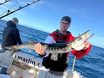 Barracudaer, atlantisk tunfisk…. White Marlin Gran Canaria