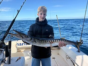 Barracudaer, atlantisk tunfisk…. White Marlin Gran Canaria