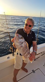Amberjacks, røde snappere…. White Marlin Gran Canaria