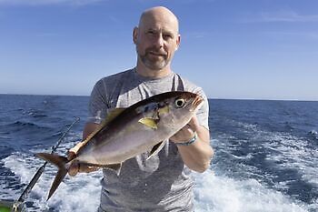 Amberjacks, røde snappere…. White Marlin Gran Canaria