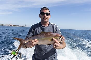 Amberjacks, røde snappere…. White Marlin Gran Canaria