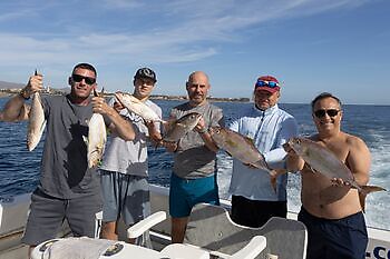Amberjacks, røde snappere…. White Marlin Gran Canaria