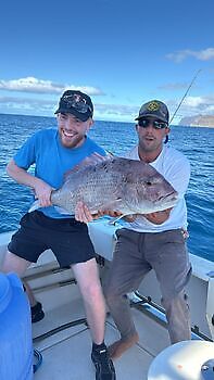 Amberjacks, røde snappere…. White Marlin Gran Canaria
