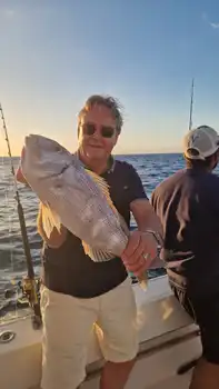 Nice week ,Amberjacks,Red Snappers !!! - White Marlin Gran Canaria