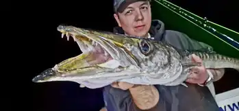 Big Red Snappers ,Amberjack,Barracudas….. - White Marlin Gran Canaria