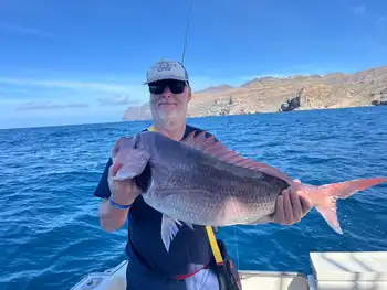 unforgettable days!! White Marlin Gran Canaria