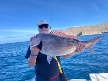 unforgettable days!! White Marlin Gran Canaria