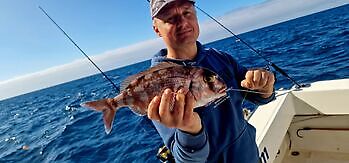 Unforgettable Days !!! White Marlin Gran Canaria